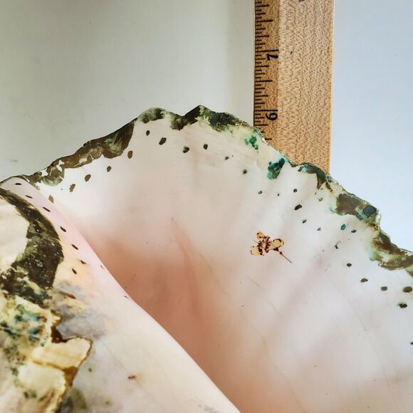 60s Lg Natural Queen Conch Seashell 12"x9"x6.5" Coral Pink Handpainted Vtg Shell - Picture 13 of 16